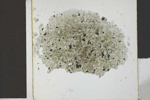 Plane Polarized, S29536
