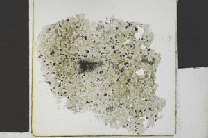 Plane Polarized, S29537