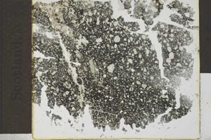 Plane Polarized, S29539