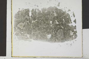 Plane Polarized, S29542