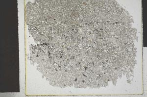 Plane Polarized, S29543/A