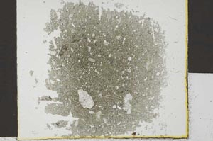 Plane Polarized, S29545