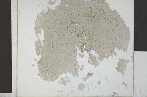 Plane Polarized, S29546