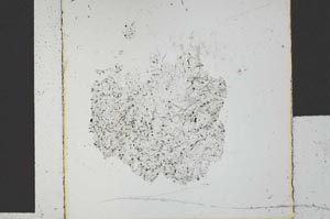 Plane Polarized, S29548