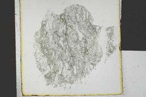 Plane Polarized, S29551