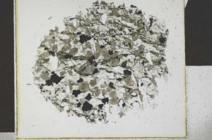 Plane Polarized, S29554
