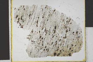 Plane Polarized, S29562