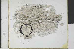 Plane Polarized, S29564