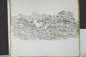 Plane Polarized, S29565