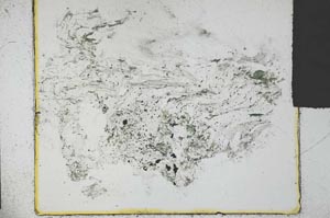 Plane Polarized, S29566