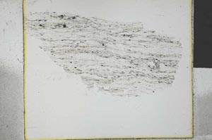 Plane Polarized, S29567