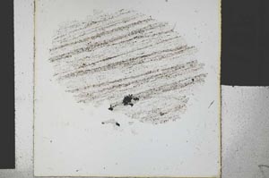 Plane Polarized, S29579