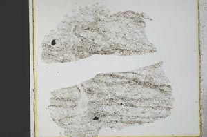 Plane Polarized, S29579/A