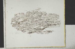 Plane Polarized, S29590