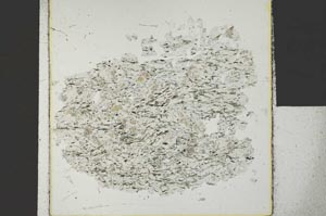 Plane Polarized, S29592
