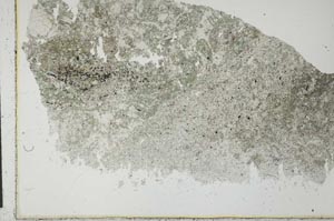 Plane Polarized, S29599