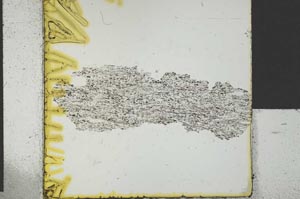 Plane Polarized, S29602