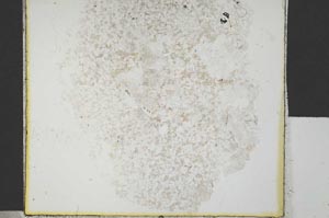 Plane Polarized, S29611
