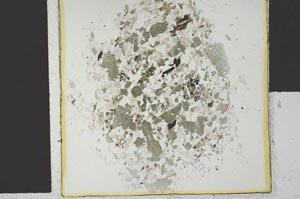 Plane Polarized, S29613