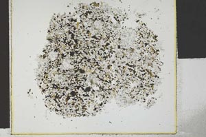 Plane Polarized, S29619