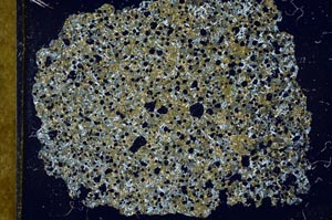 Cross Polarized, S29633