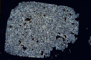 Cross Polarized, S29662