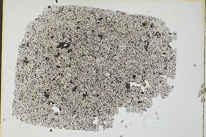 Plane Polarized, S29662