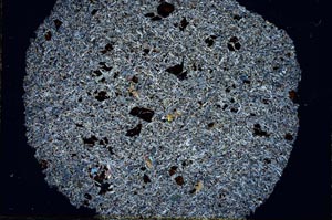 Cross Polarized, S29663