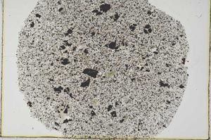 Plane Polarized, S29663