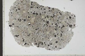 Plane Polarized, S29664