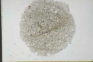 Plane Polarized, S29667