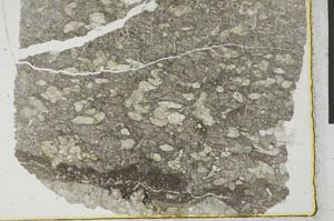 Plane Polarized, S29672
