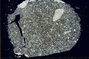 Cross Polarized, S29673