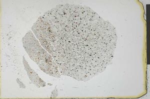 Plane Polarized, S29679
