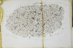 Plane Polarized, S29681