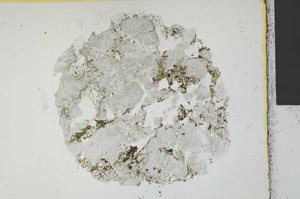 Plane Polarized, S29706