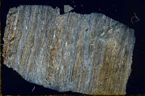 Cross Polarized, S29727