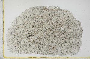 Plane Polarized, S29728