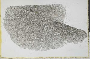 Plane Polarized, S29741