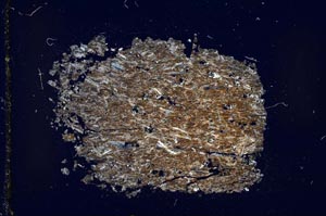 Cross Polarized, S29751