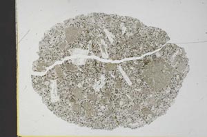 Plane Polarized, S29752