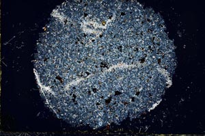 Cross Polarized, S29757