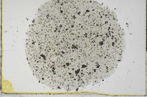 Plane Polarized, S29757