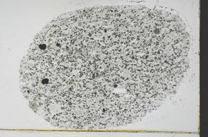 Plane Polarized, S29777