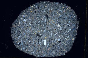 Cross Polarized, S29781