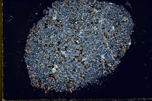 Cross Polarized, S29782