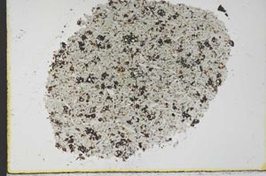 Plane Polarized, S29782