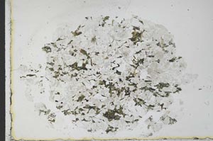 Plane Polarized, S29787