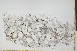 Plane Polarized, S29789
