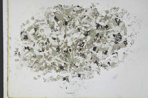 Plane Polarized, S29793